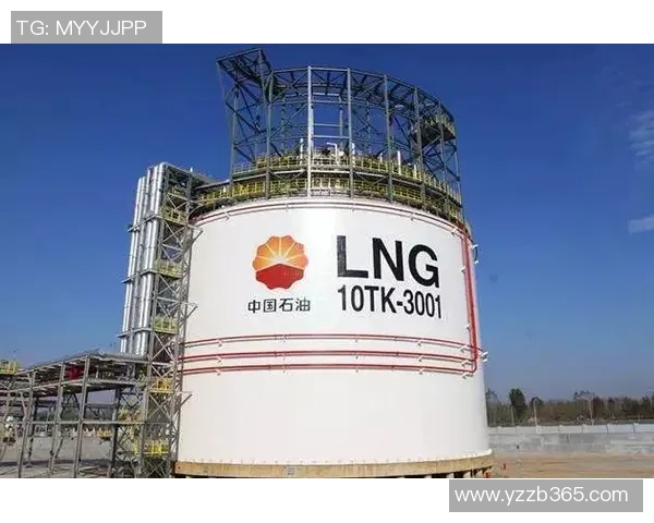 LNG战队实力深度分析与未来发展潜力探讨