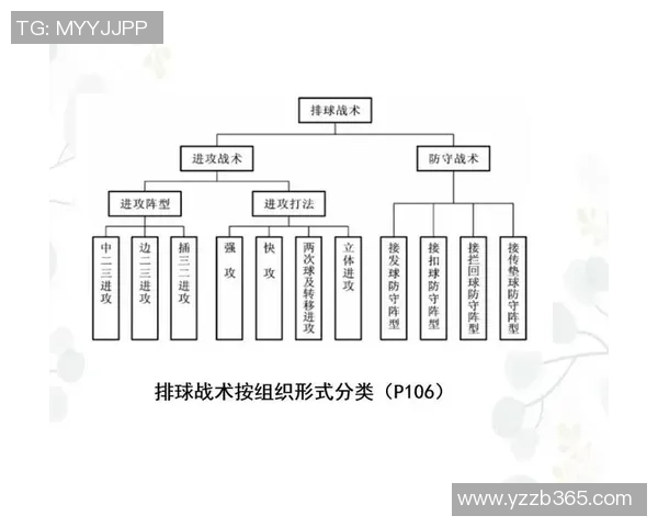 深入分析北京排球队中路突破战术的优势与应用策略