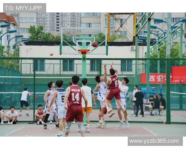 武汉篮球队现状揭秘：从训练到比赛的全景观察与分析