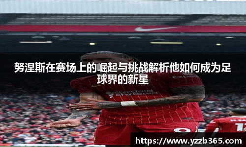 努涅斯在赛场上的崛起与挑战解析他如何成为足球界的新星